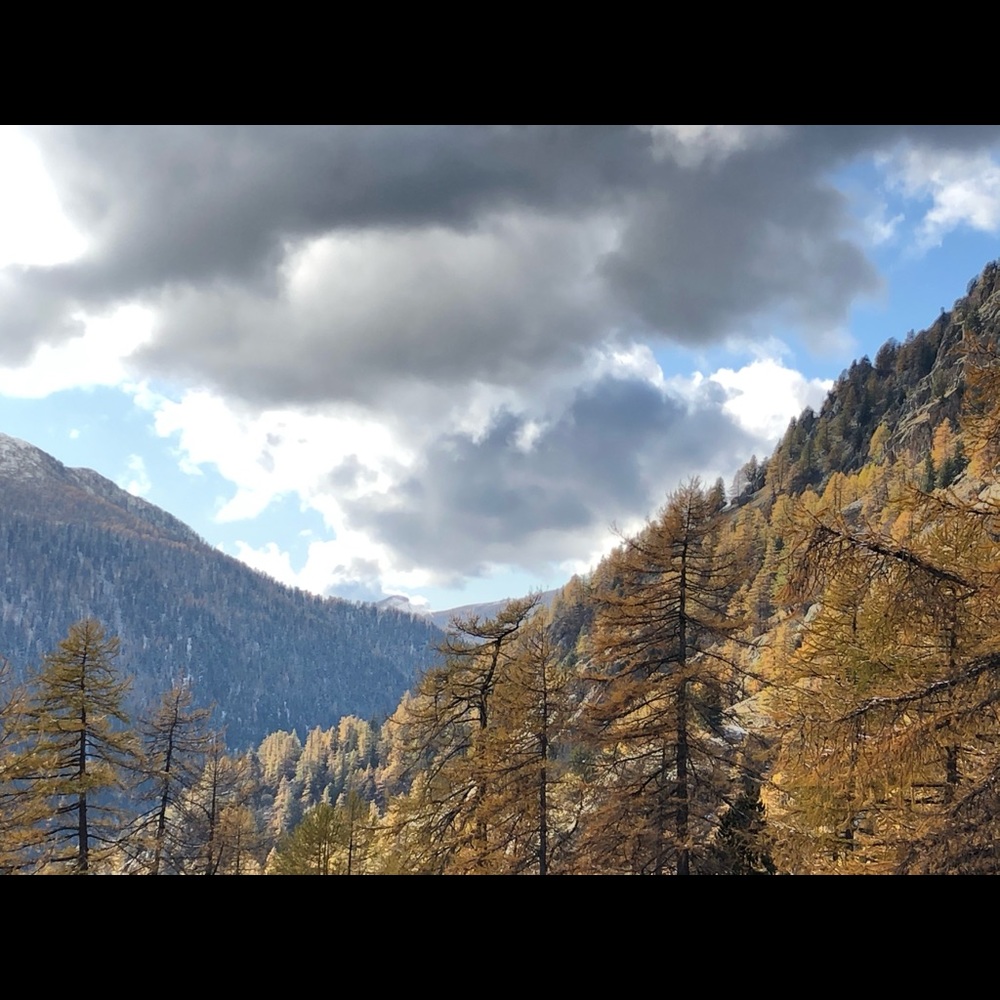 Meet your Posher, Kay